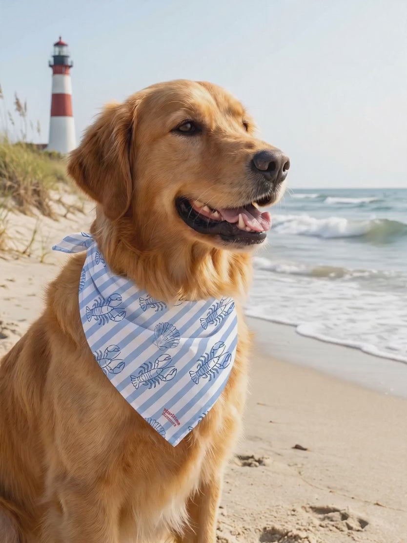 Seaside All-over print bandana